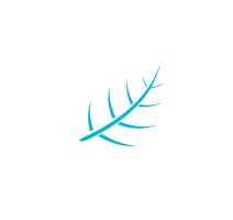 Unified and Efficient Management